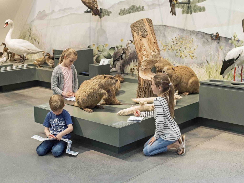 Naturmuseum in der Schweiz