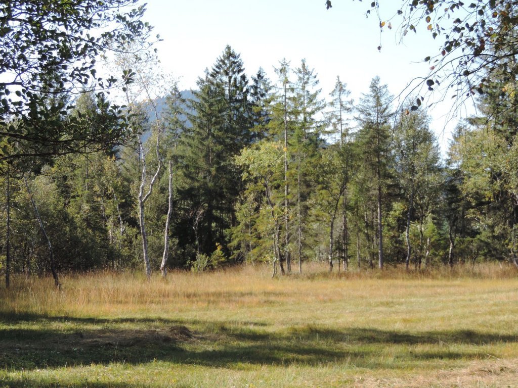 Natuschutzgebiet Nord in Langenegg im Bregenzerwald