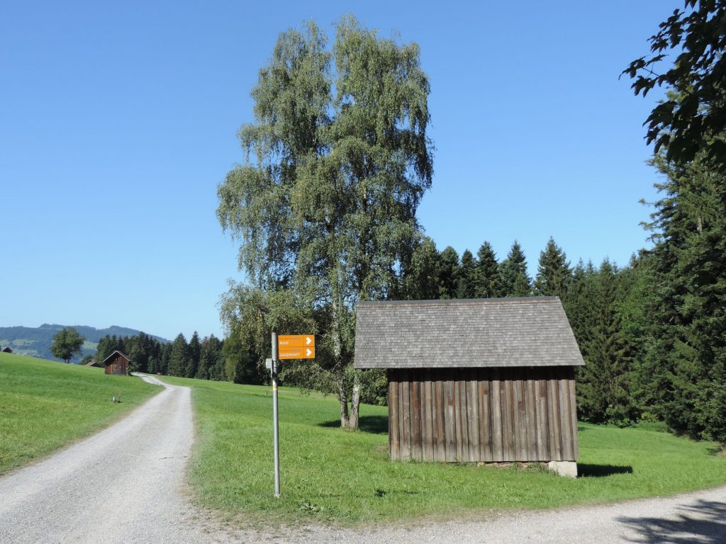 Natuschutzgebiet Nord in Langenegg im Bregenzerwald