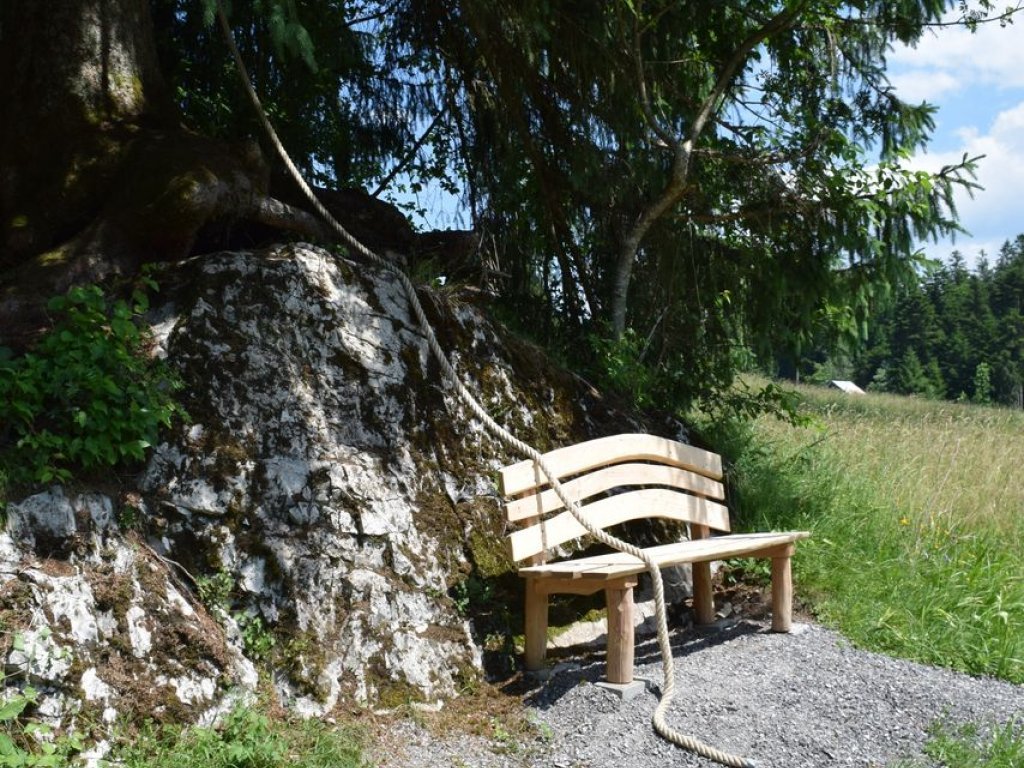 Tobelweg in Sibratsgfäll im Bregenzerwald 