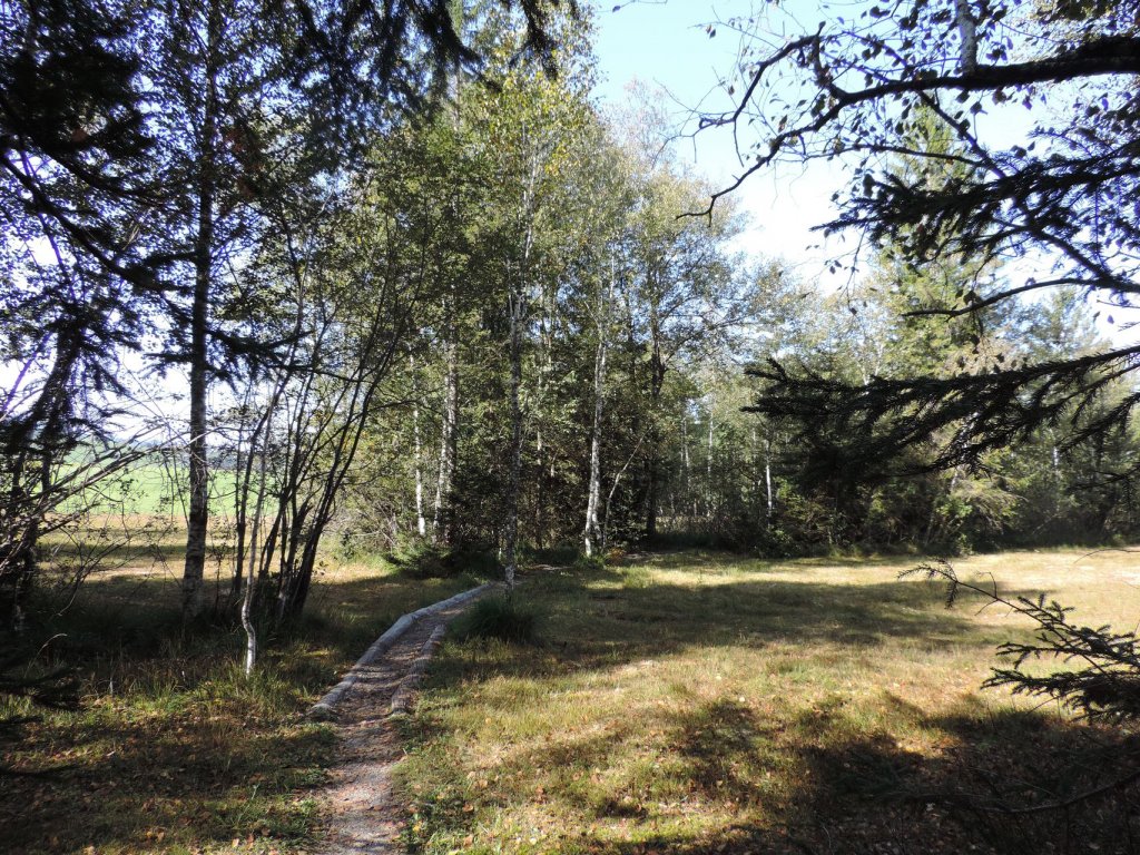 Natuschutzgebiet Nord in Langenegg im Bregenzerwald