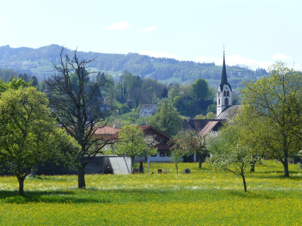 Blick auf Gaißau