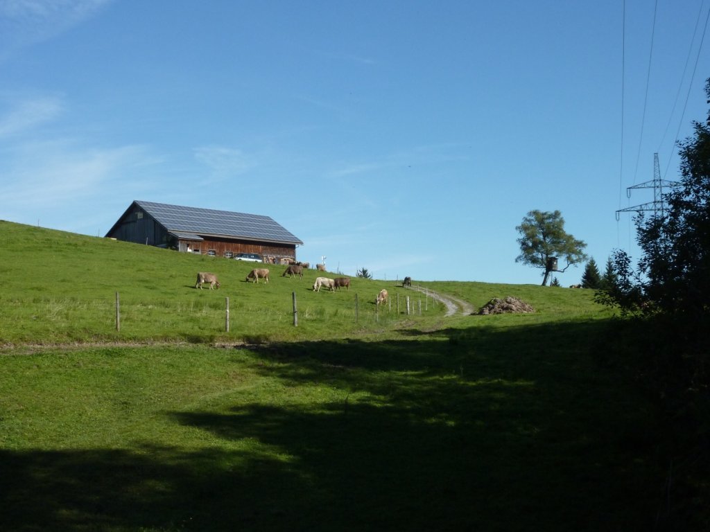 Weg auf das Brüggele