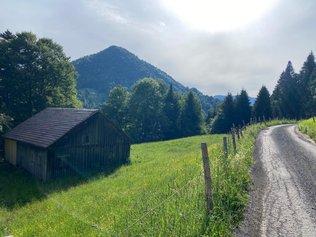 Von Lingenau nach Schetteregg