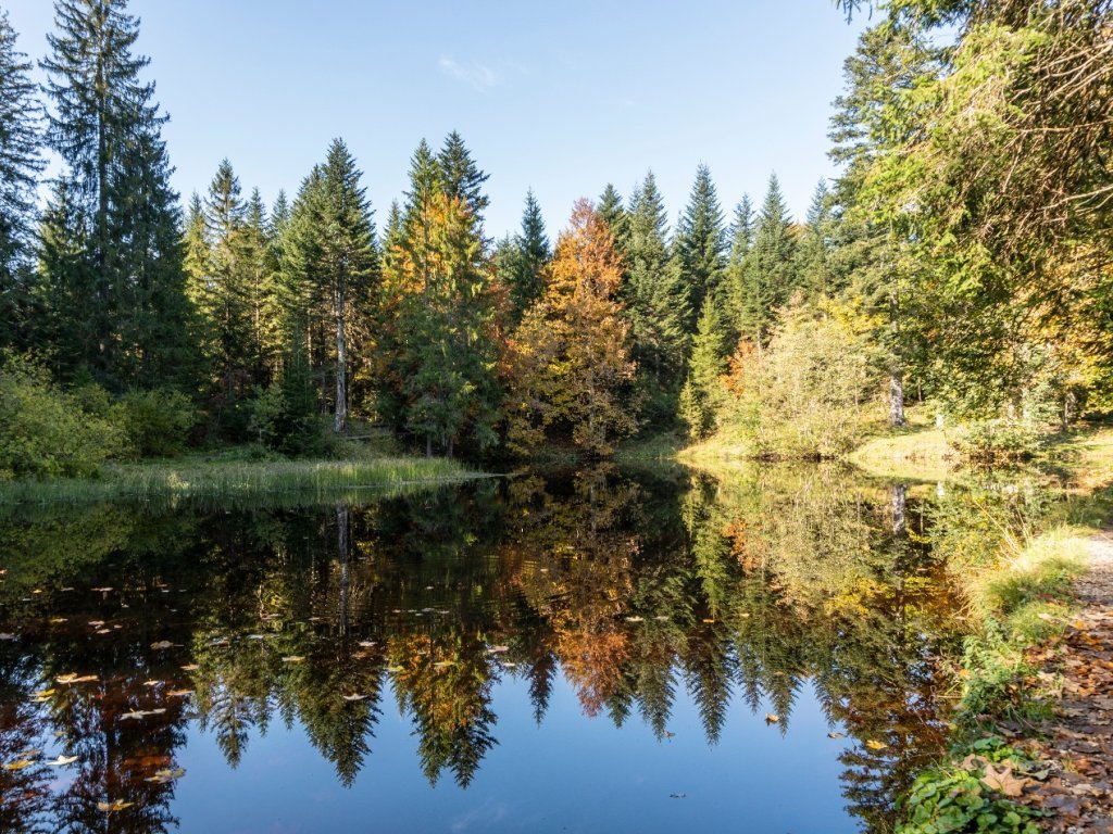 Bödelesee im Herbst