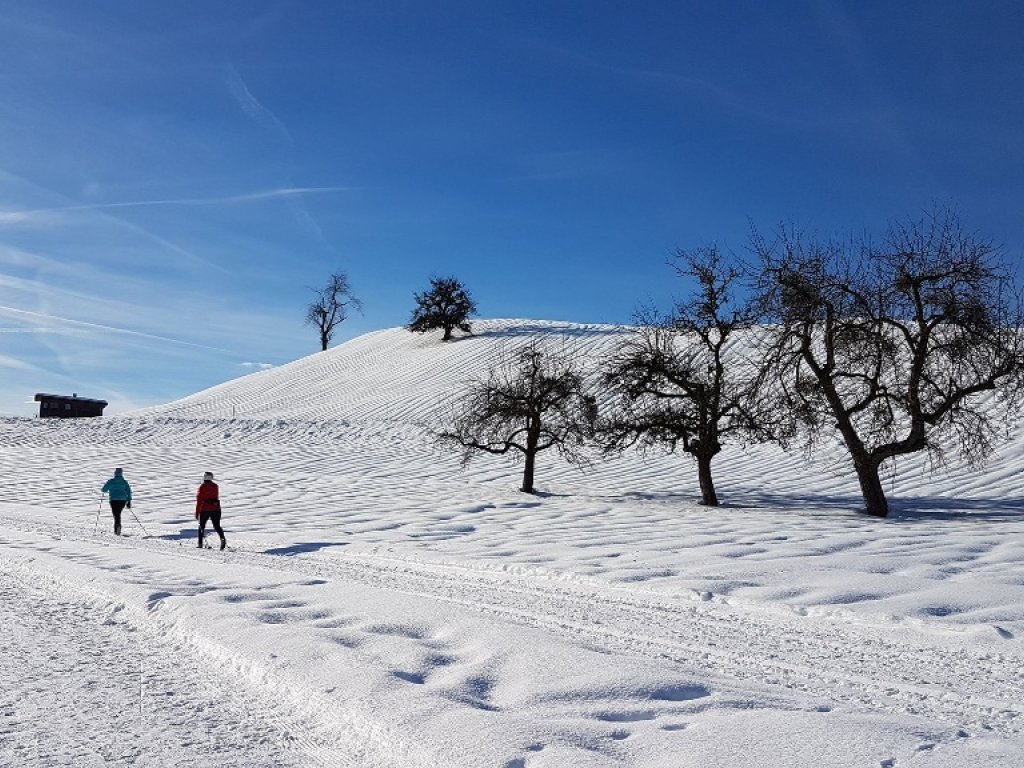 Langlaufen in Alberschwende