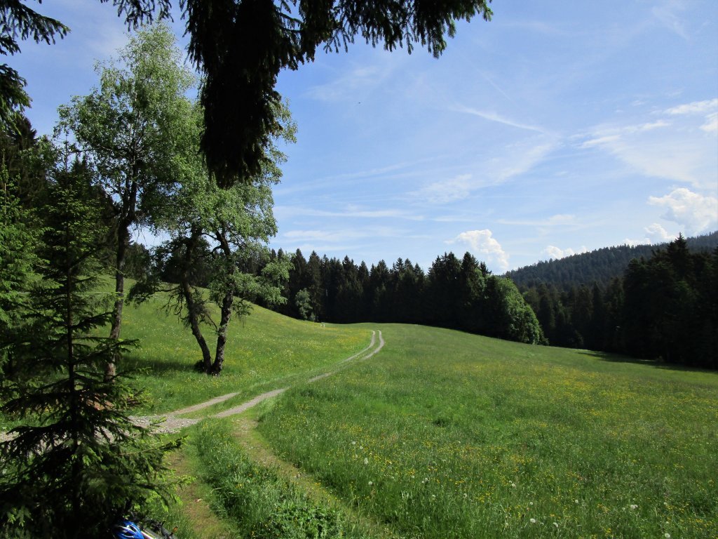 Weg durch "Langes Viehweide" zurück zur Pfänderbahn