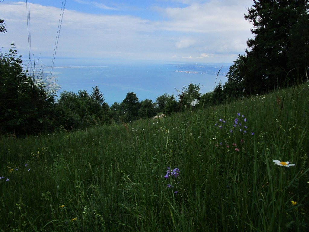 in den begleitenden Wiesen dürfen noch Blumen blühen