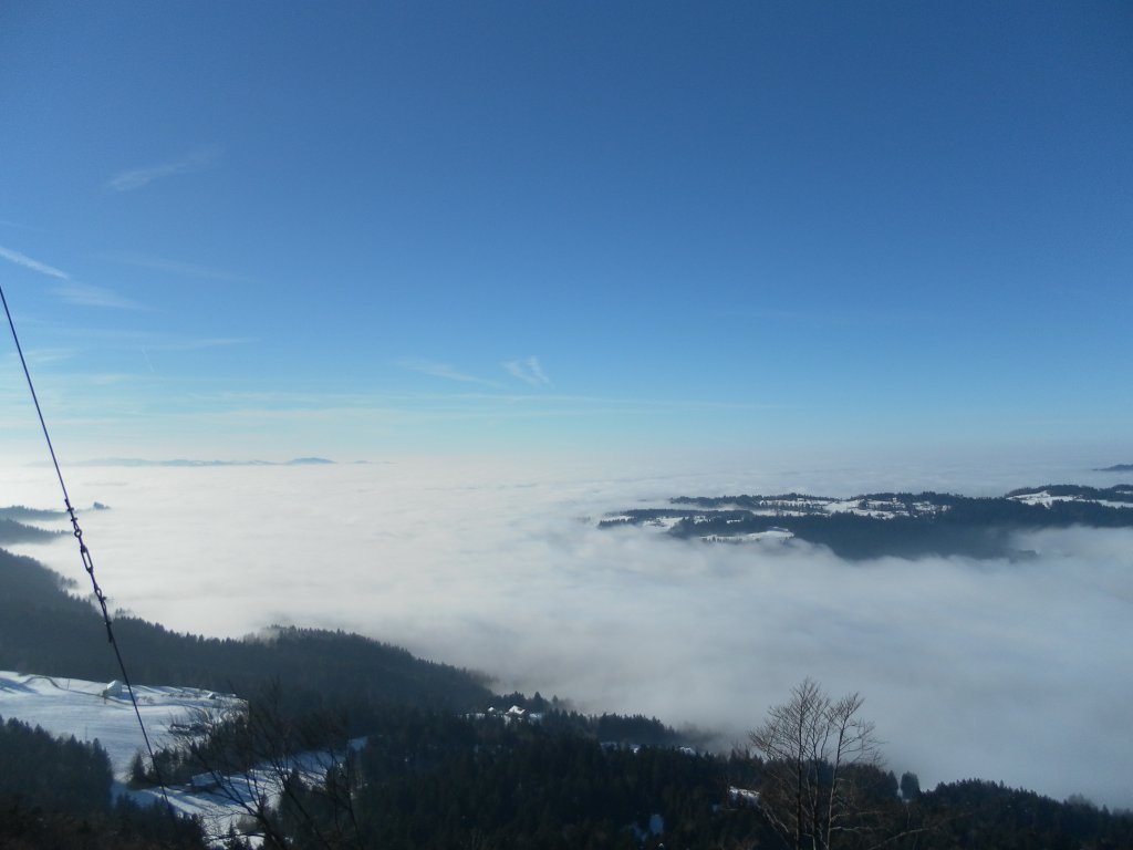 Blick vom Brüggelekopf ins Rheintal