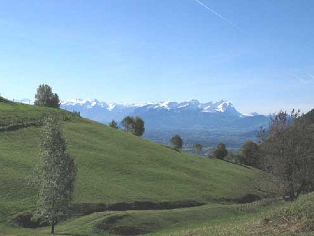 Abzweig Geserbergrundweg - hier geht's weiter nach Ahornach