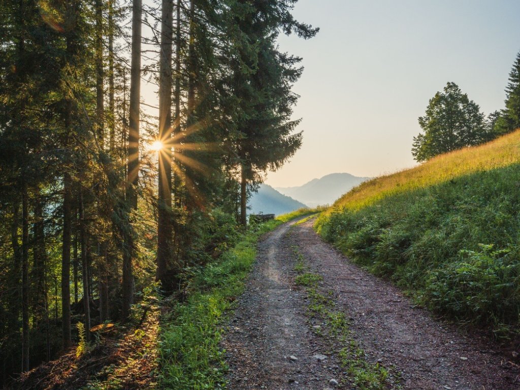 Wanderweg am Rotenberg