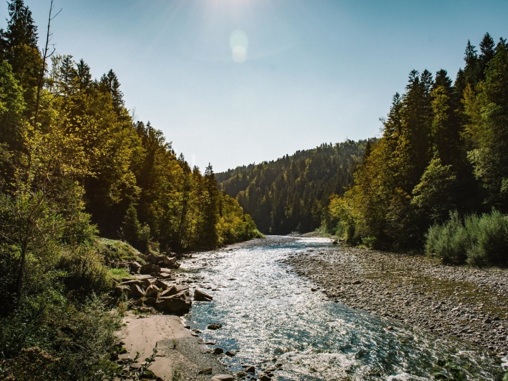 Der Achtalweg entlang der Bregenzerache