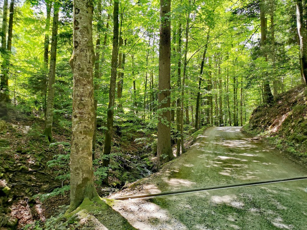 Weg von Andelsbuch auf die Bezegg