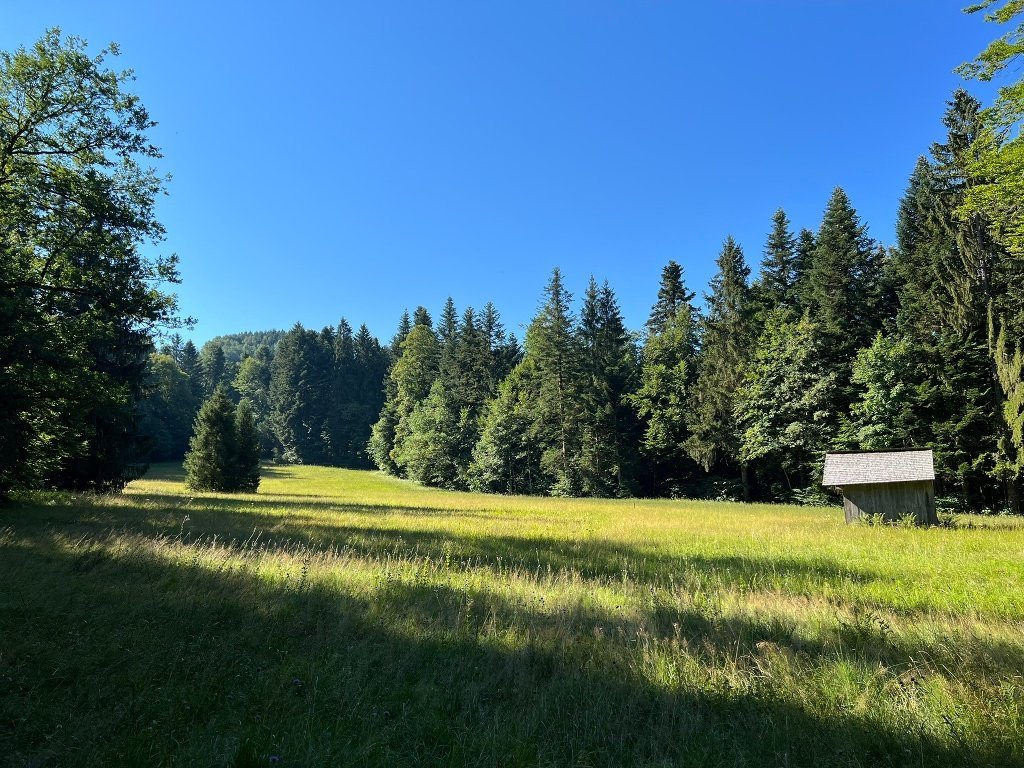 Energiewanderung