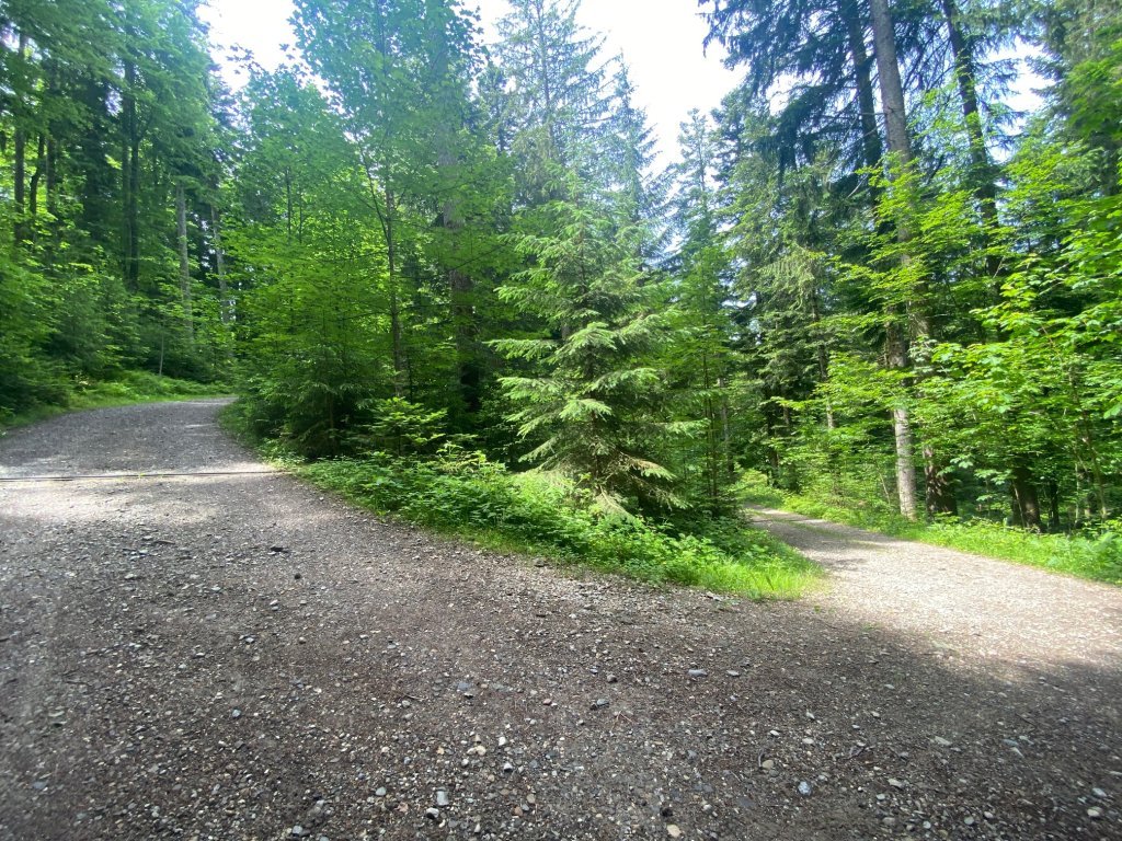 Über den Rotenberg zurück nach Lingenau