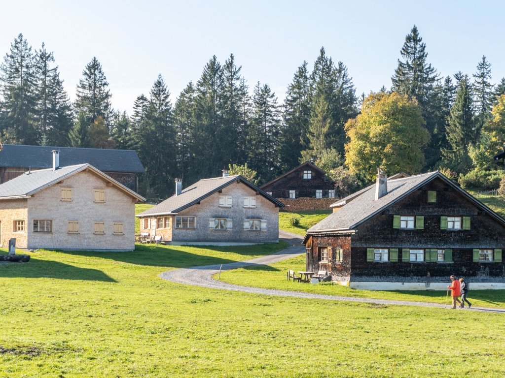 Wanderung am Bödele