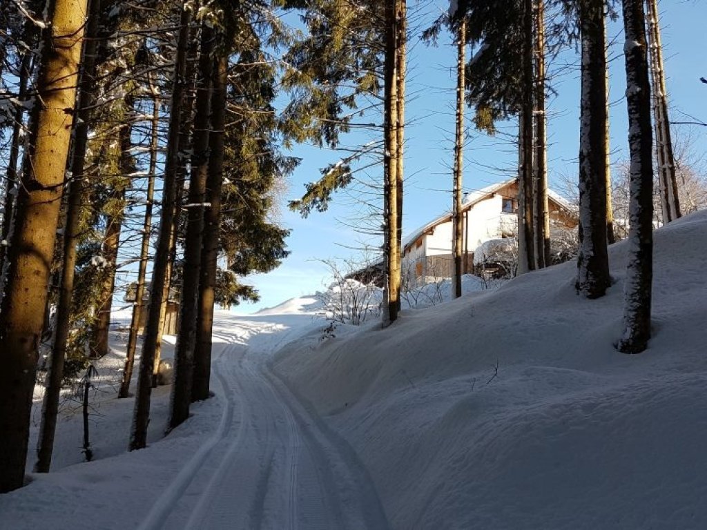 Waldweg zum Kaltenbrunnen