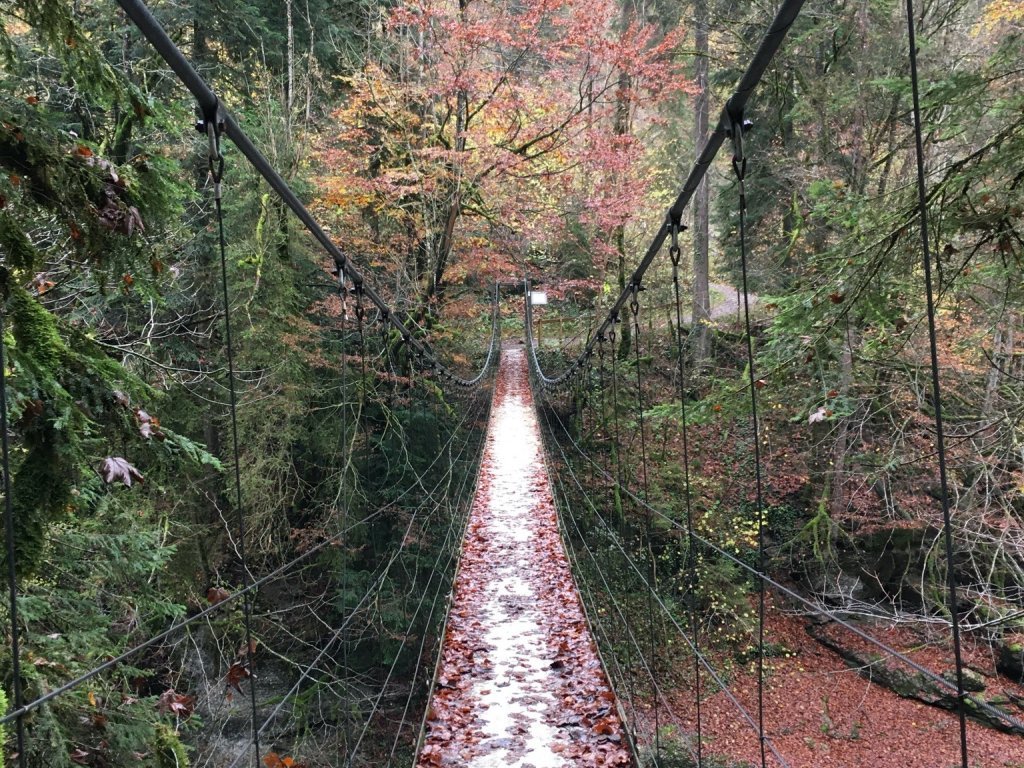 Subersachschlucht Drahtsteg