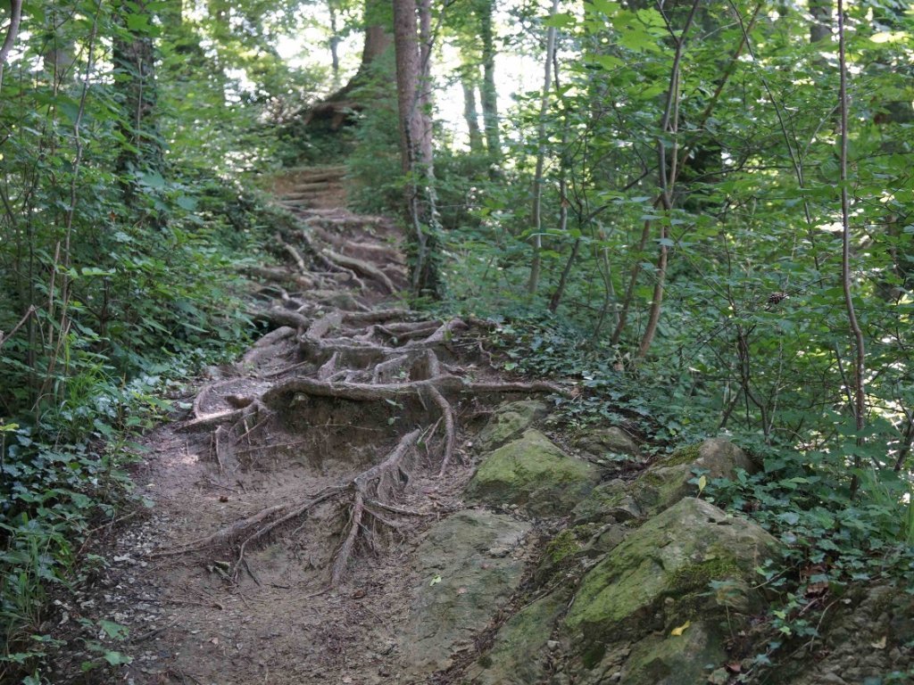 Wanderweg Doppelmayr-Zoo nach Bildstein