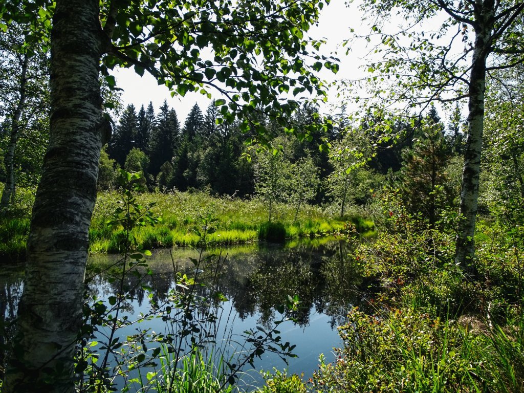 Moorweiher Grenzerpfad