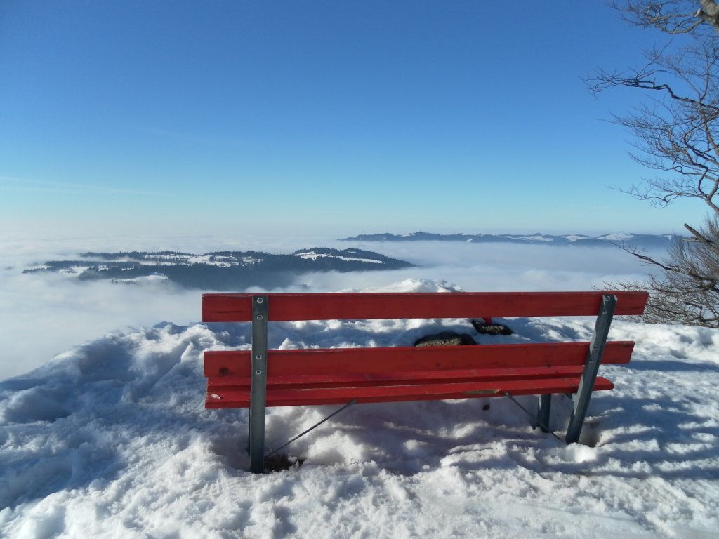 Blick vom Brüggelekopf ins Rheintal