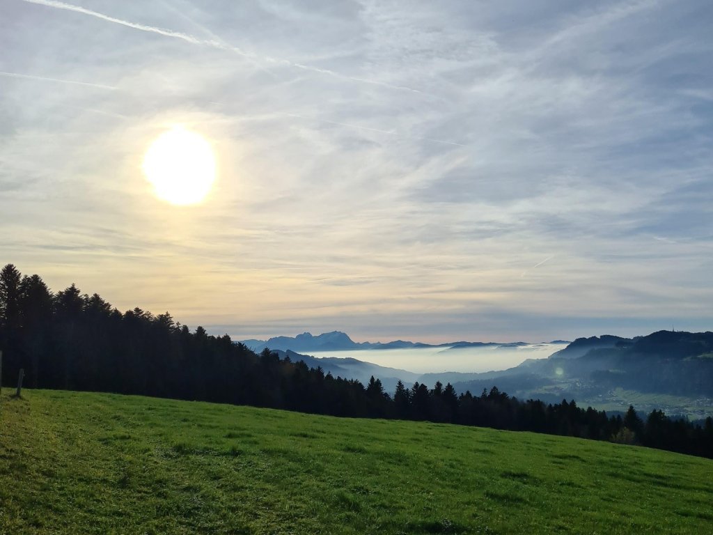 Abstieg Richtung Schönenbühl