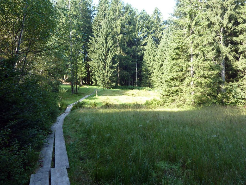 Weg von der Berchtoldshöhe zum Brüggelekopf