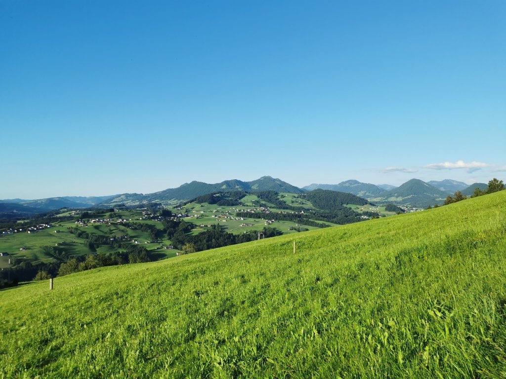 Auf dem Weg zum Brüggelekopf, kommend von Tannen