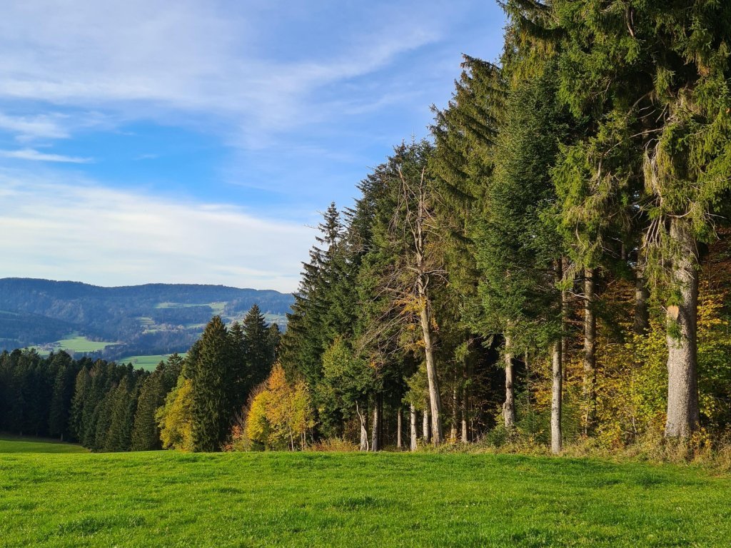 Abstieg Richtung Schönenbühl