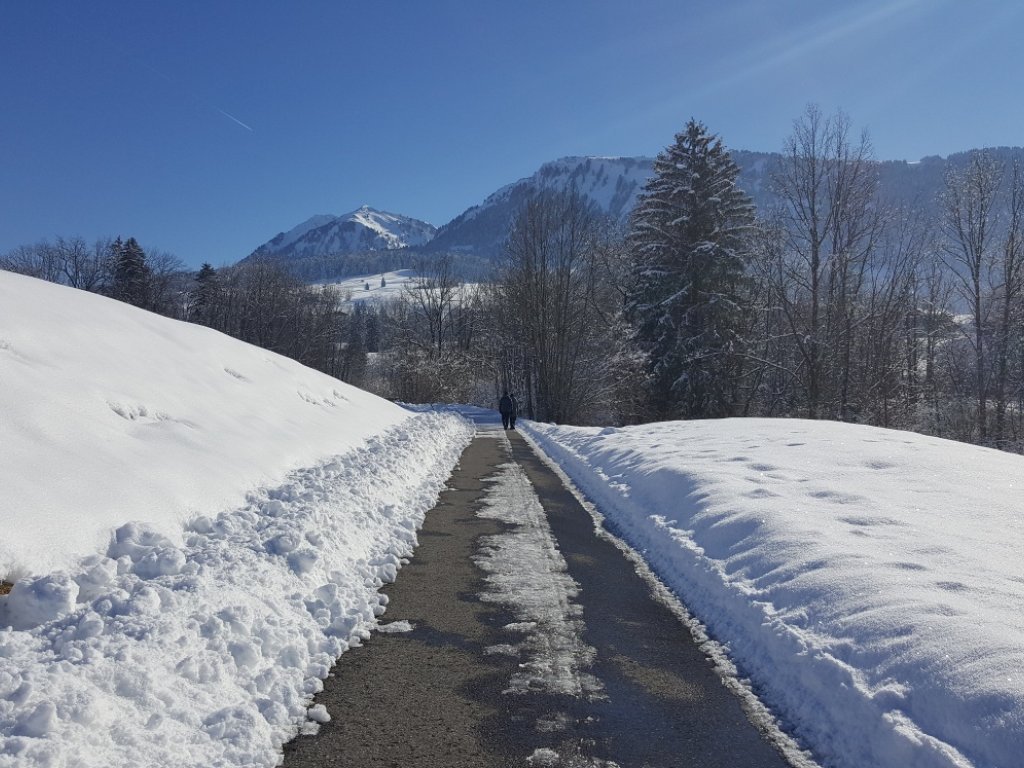 Winterwanderweg mit Blick auf die Niedere