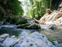 Engenlochschlucht, Wasserwanderweg in Hittisau