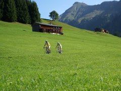 Rennradtouren im Bregenzerwald