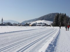 Rund ums Dorf in Hittisau