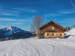 Hütte Sonderdach Bezau