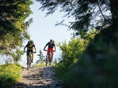 Mountainbiker auf der Rossstelle Mellau